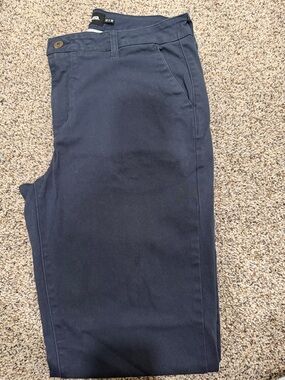 RSQ Men's Navy Chino Pants